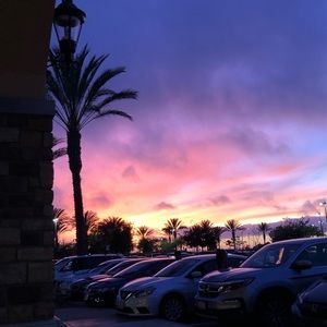 Meet your Posher, Alani